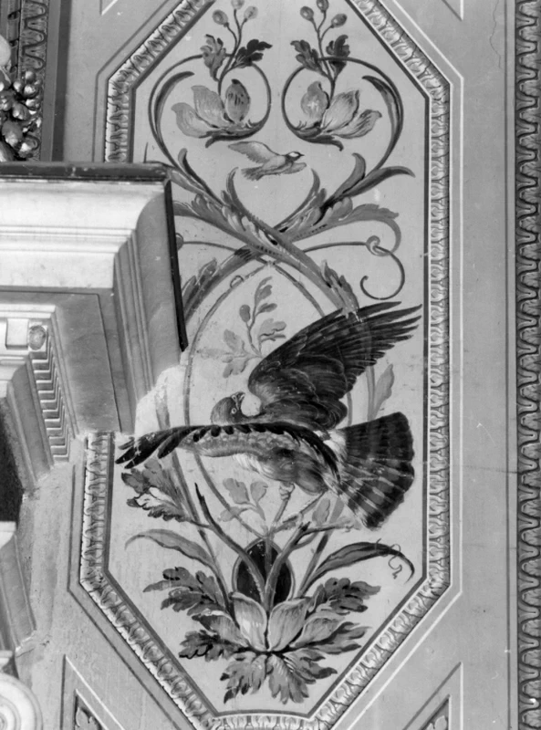 Uccelli - Villa Borghese Pinciana, Roma